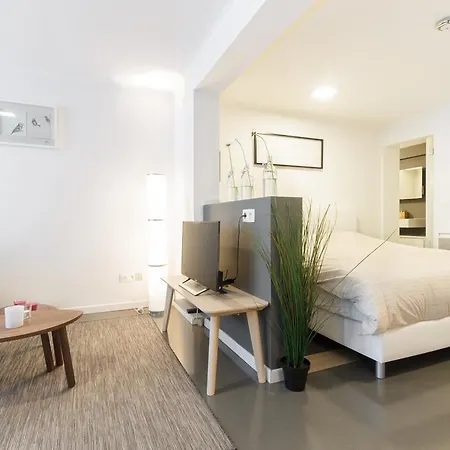 Апартаменты Excellent Studio In The Medieval Centre